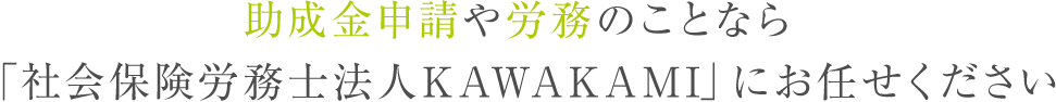 助成金申請や労務のことなら「社会保険労務士法人KAWAKAMI」にお任せください